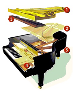 Concierto de piano de Fernando Cruz